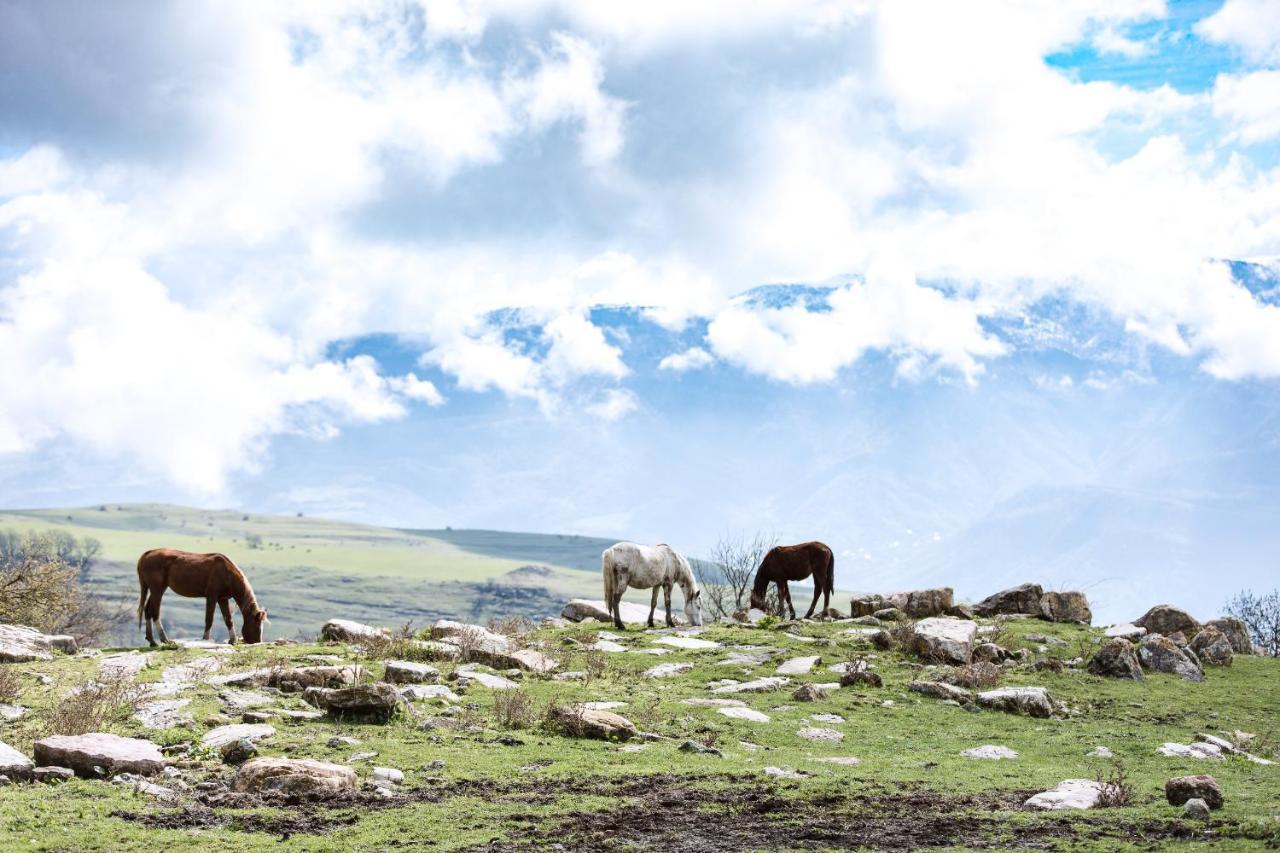 Apaga Resort Ijevan Dış mekan fotoğraf